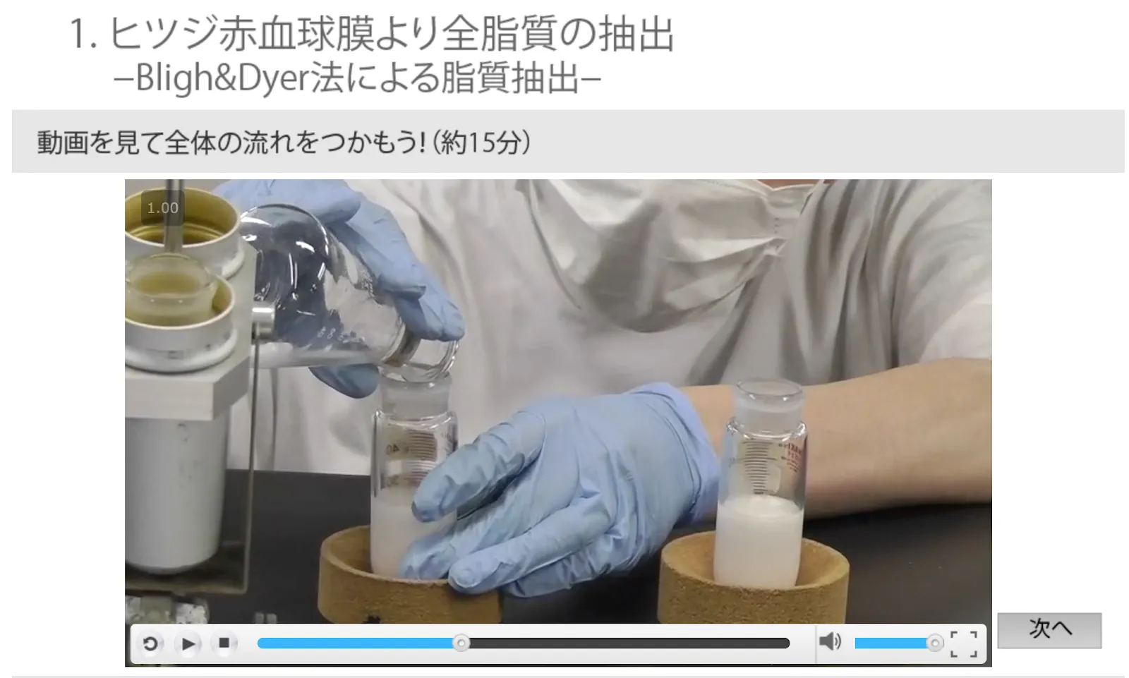 (4) 実験の様子を撮影した動画